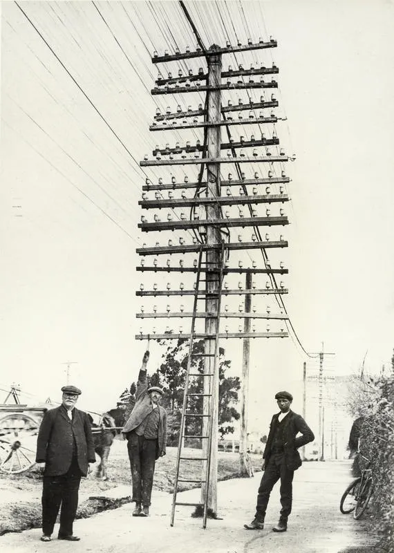 Telephone poles and lines (Lemon trees)