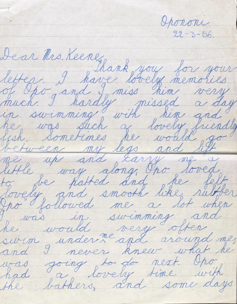 Letter from Jill Baker to Mrs Keene regarding Opo the dolphin