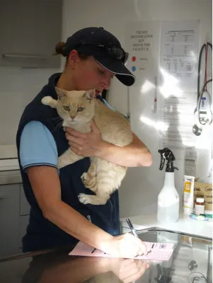 SPCA Canterbury Photograph 05