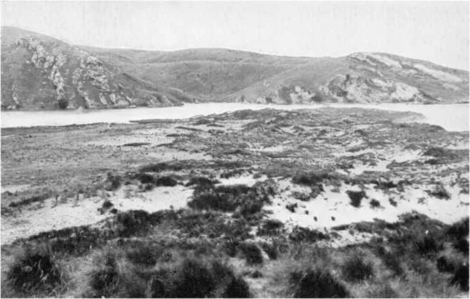 Site of the Shag River Moa-Hunters' Camp