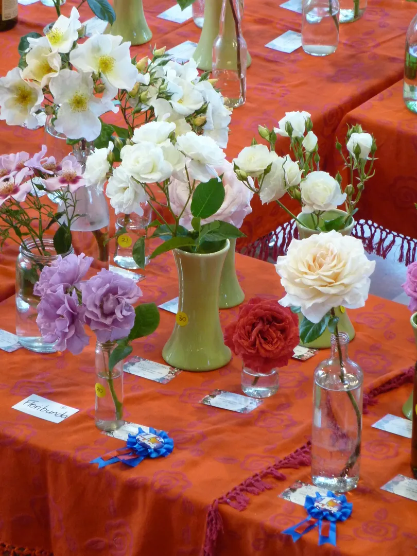 Lyttelton Rose Show