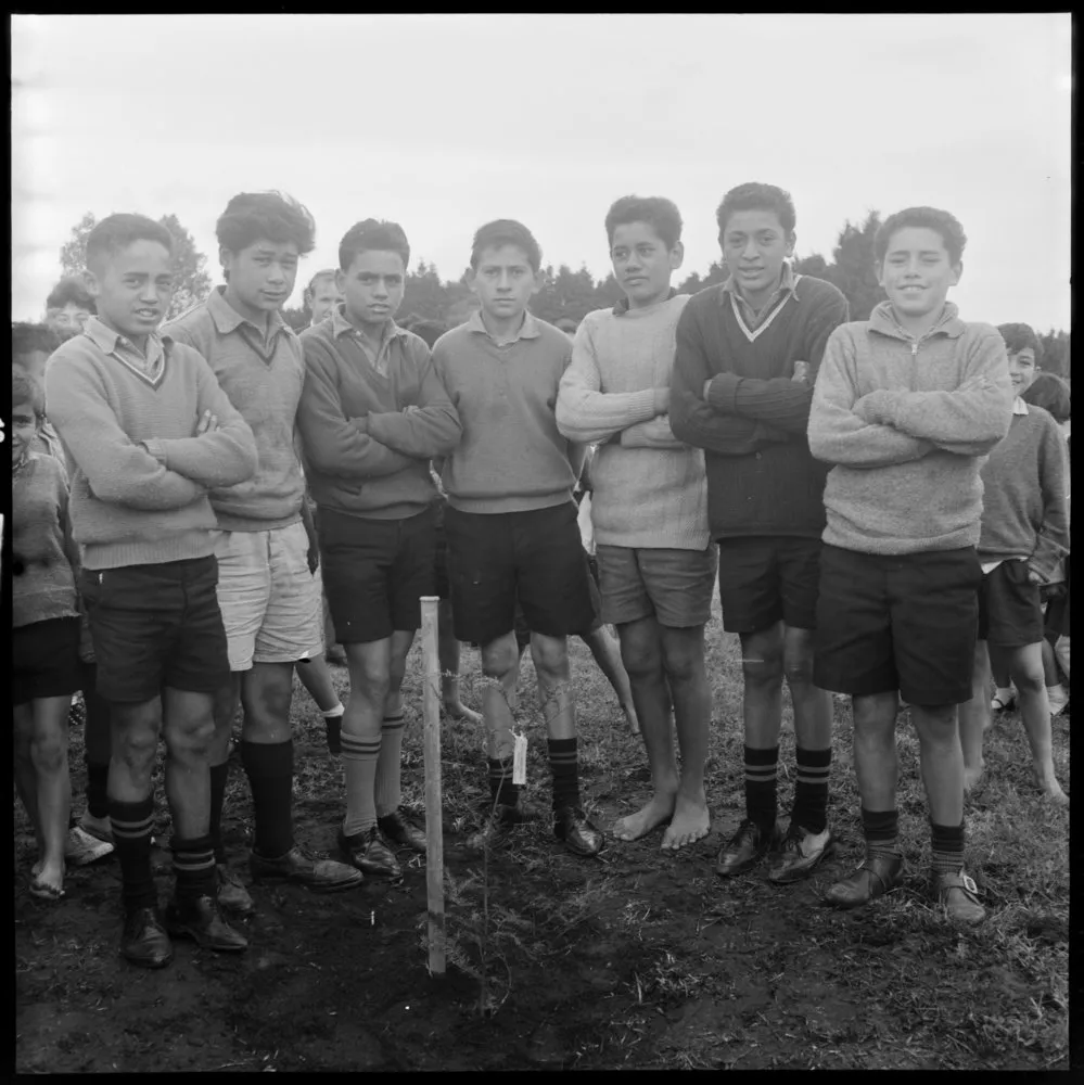 Matapihi School Arbor Day tree planting.