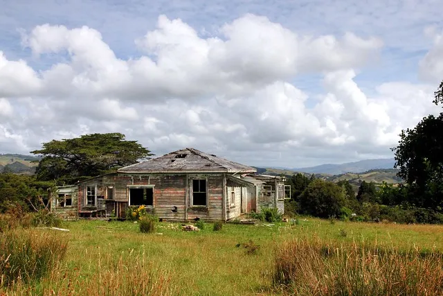 Old house, Ohautira, Waikato, New Zealand  (1 of 3)