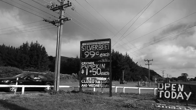 ºº oPEN ToDAY ºº