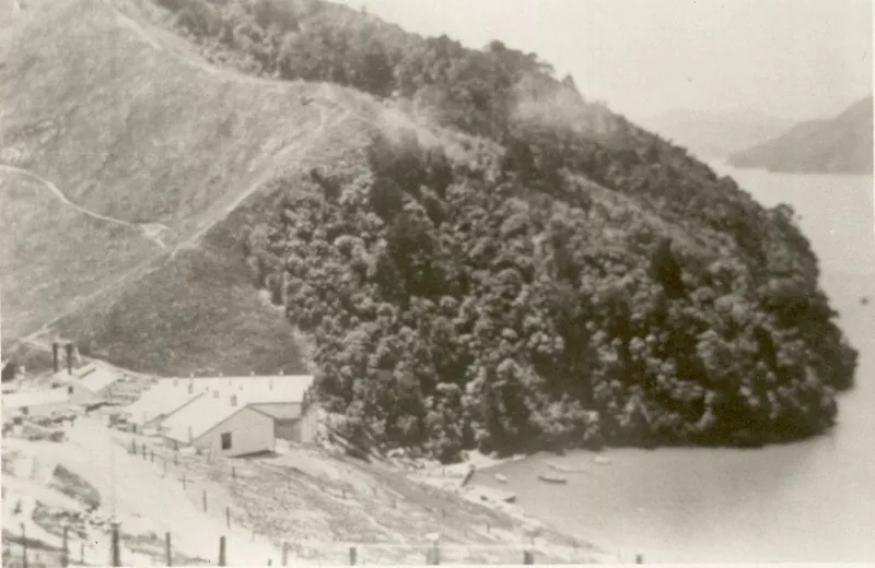 Picton Freezing Works Grazing Land - Kaipūpū Point