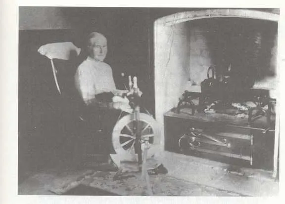 [untitled figure] - Settler Kaponga 1881–1914 — A Frontier Fragment of the Western World