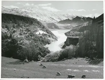 Image: Otago - Shotover River