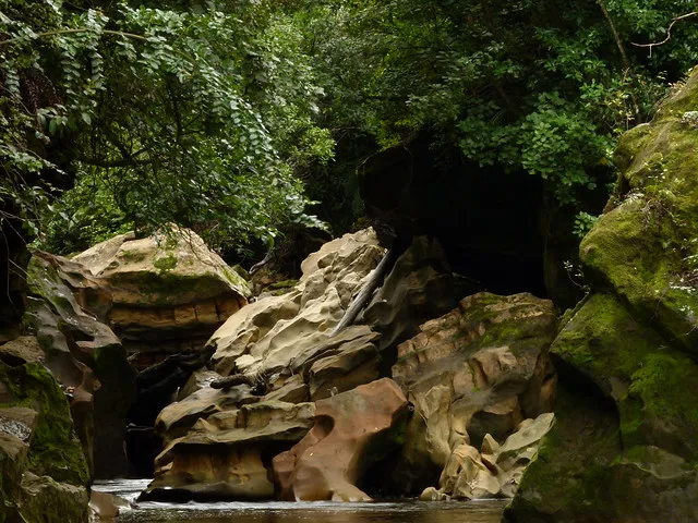 Seven Mile Creek, Dunollie, West Coast