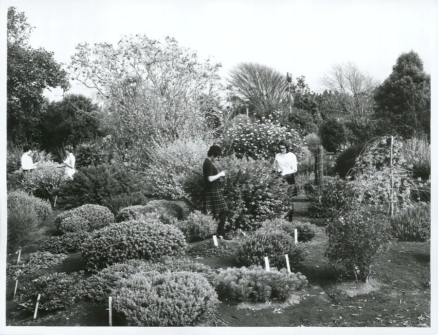 Agriculture - Floriculture