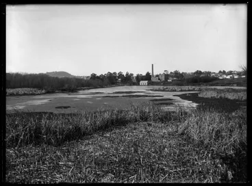 Image: Western Springs lake, 1924