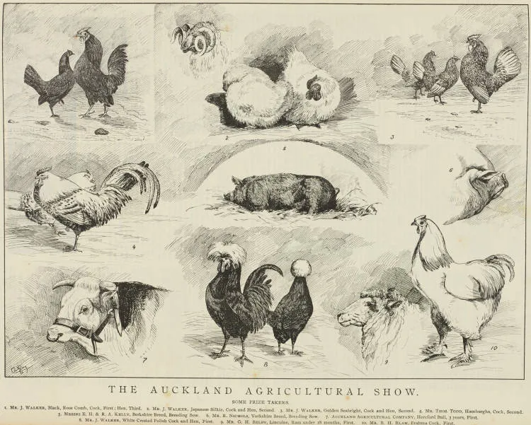 The Auckland Agricultural Show