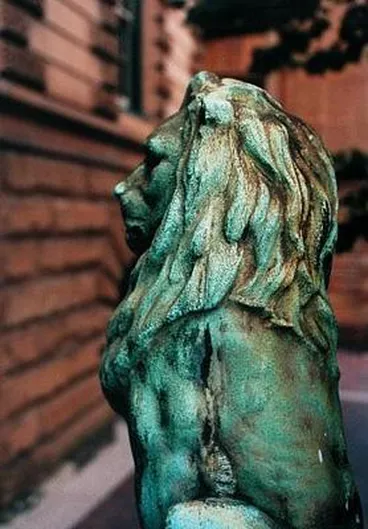 Image: Sydney (Lion)