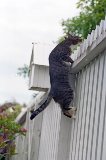 Image: Miscellaneous photos from 2001