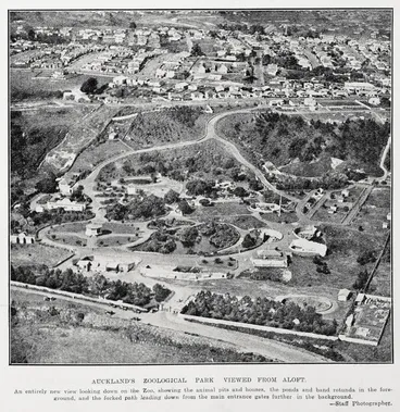 Image: Auckland's zoological park viewed from aloft