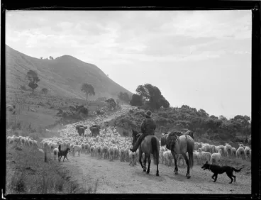 Image: Waipaoa Station, 1947