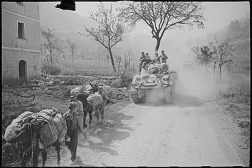 Image: New Zealand tank passes a mule train on a dusty road in the Sora area, Italy, World War II - Photograph taken by George Kaye