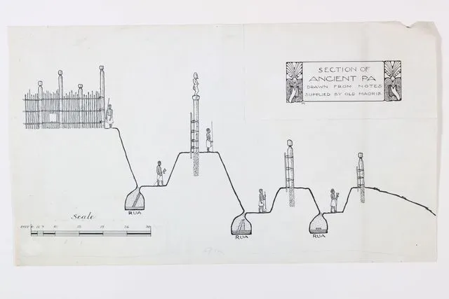 Section of Ancient Pa - drawn from notes supplied by Old Maoris [Sic]