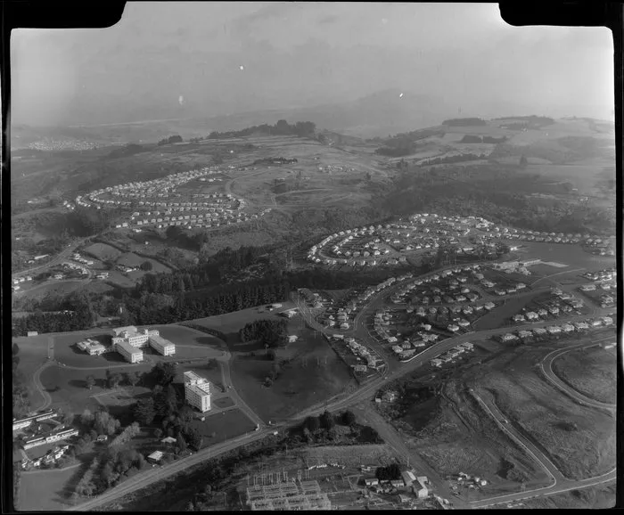 Wakari Hospital, Dunedin City