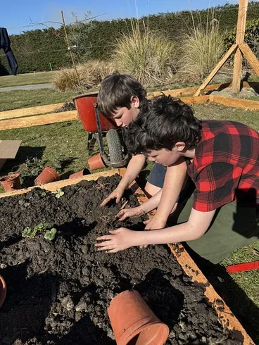 Image: The first plants!