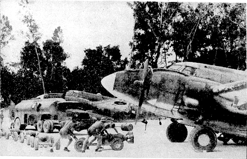 H.bN.Z.A.F. Photo. Bombing up Venturas at Emirau Island, from which base New Zealand pilots are hitting the Japanese over a wide area. (Evening Post, 24 February 1945)
