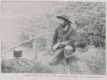 Christmas in the New Zealand Bush Image: Christmas in the New Zealand Bush