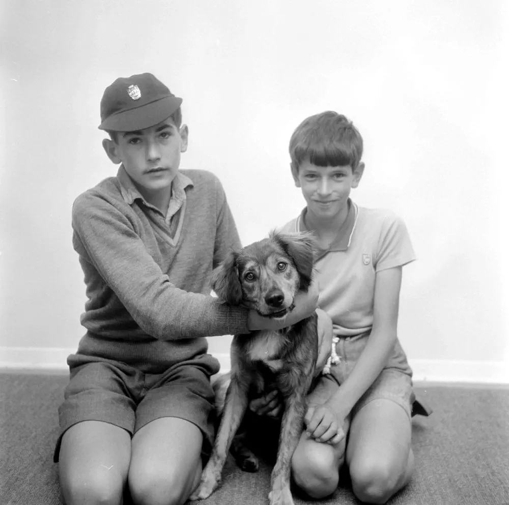 Animal Rescue (?) boys and dog.