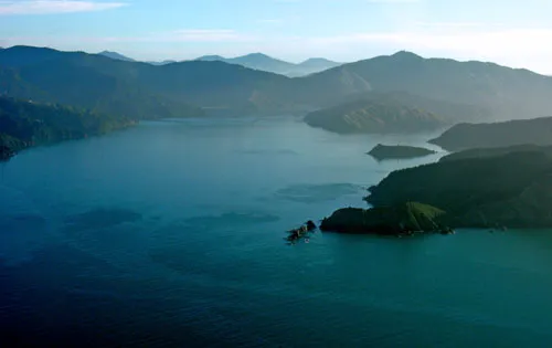 Horahora Kākahu Island, Port Underwood