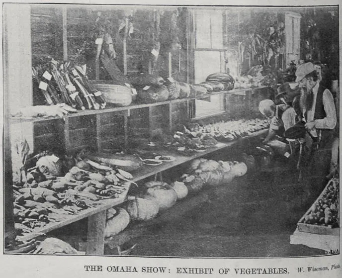 The Omaha Show: Exhibit of Vegetables