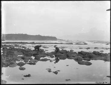 Image: Looking to lighthouse, Cape Foulwind, gathering mussels