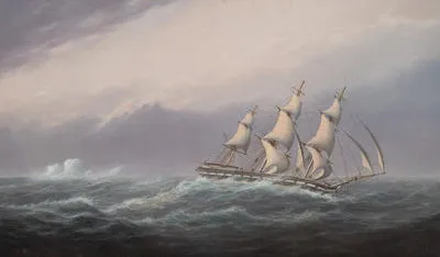 Ship "True Briton" Off Cape Horn Passing Ice