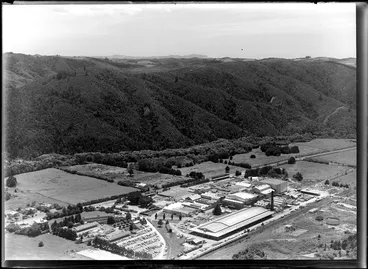 Image: Auckland Farmers Freezing Company Limited, Moerewa plant