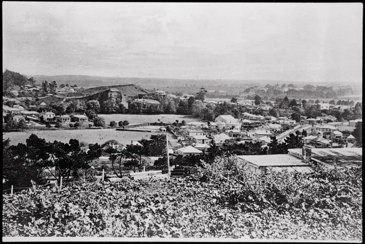 Devonport and Mt. Cambria from North Head.
