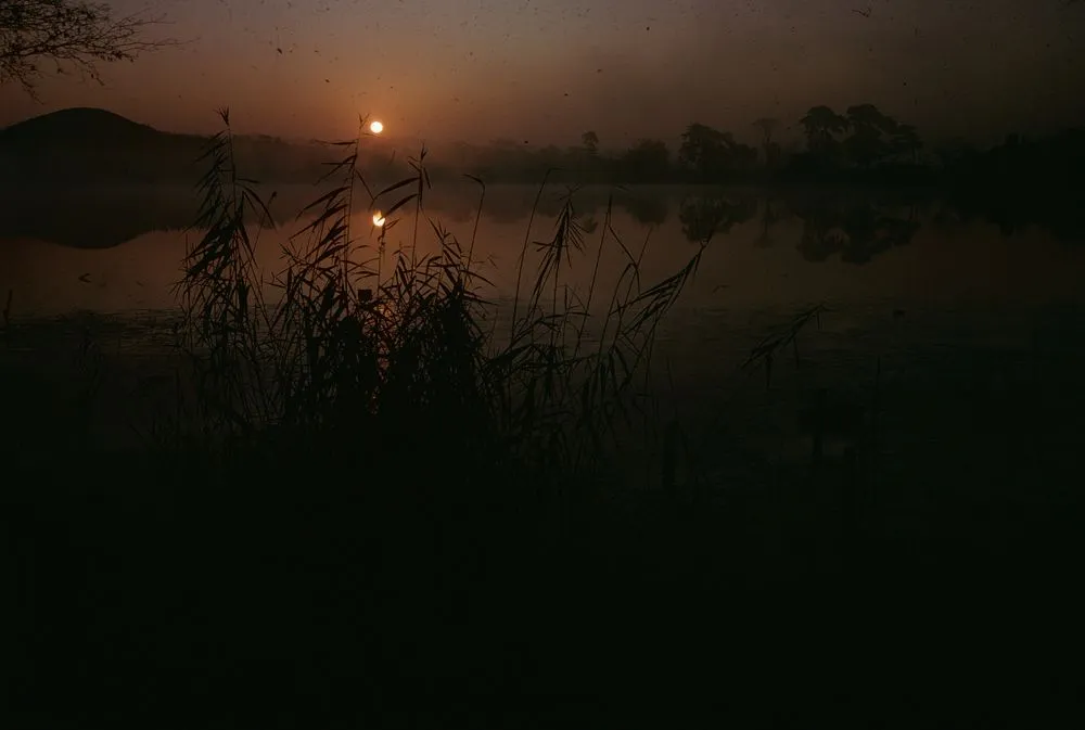 Japan series: Hirosawaike pond