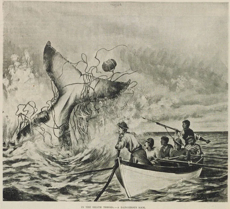 In the death throes: a dangerous kick