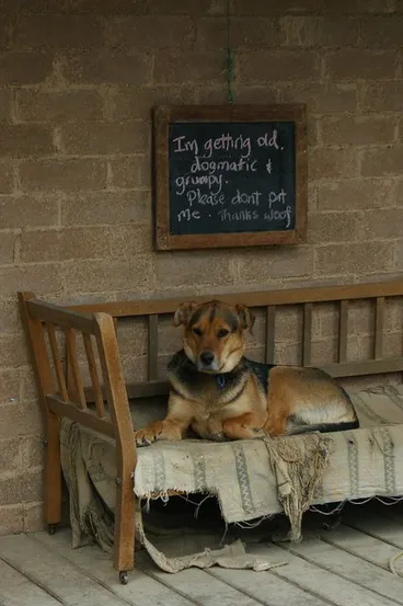 Image: Danseys Pass Coach Inn (c.1862) (3)