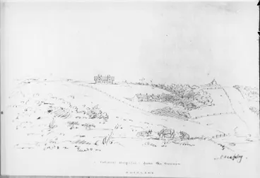 Image: Auckland Hospital from the Domain, 1855
