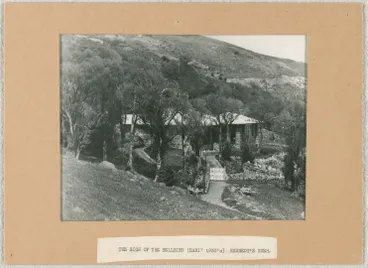 Sign of the Bellbird Image: Sign of the Bellbird