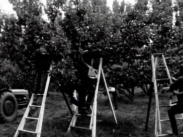 First Country calendar programme Image: First Country calendar programme