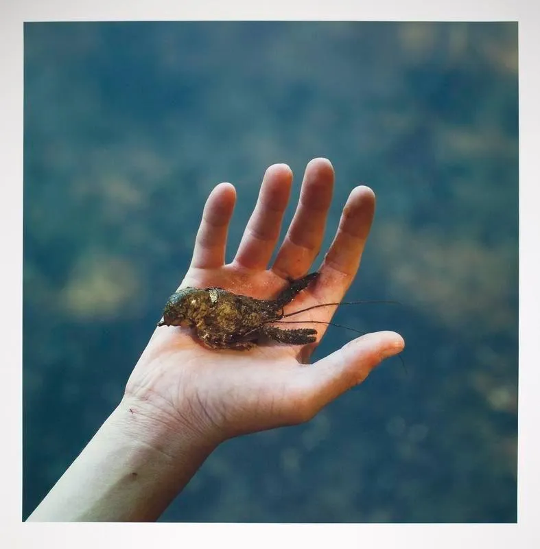 River / Road An Ecological Journey,