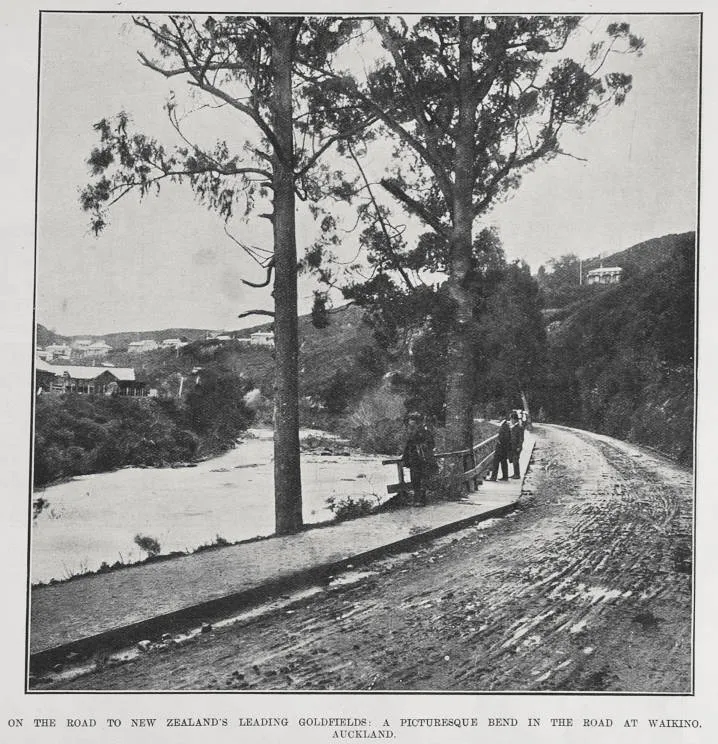ON THE ROAD TO NEW ZEALAND'S LEADING GOLDFEILDS: A PICTURESQUE BEND IN THE ROAD AT WAIKINO, AUCKLAND