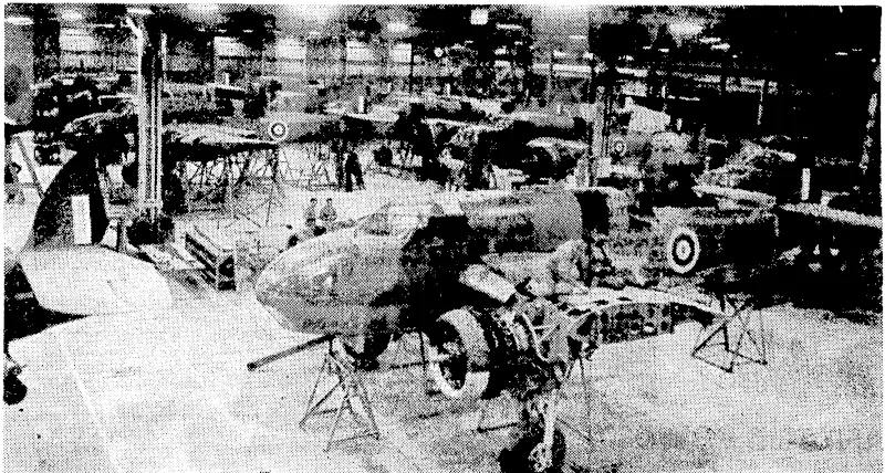Since Japan's entry into the ivar Australia has greatly increased her aircraft, production. F"'••■• B"rmfort torpedo bombers are seen Hearing completion in a V'icl-orian factory where dc main assc.l', [J.cs piicc. (Evening Post, 03 June 1942)