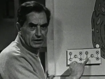 Image: In the Nature of Things