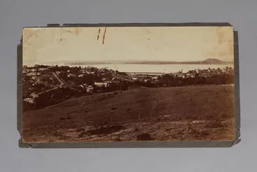 Image: Domain looking North over Mechanics Bay