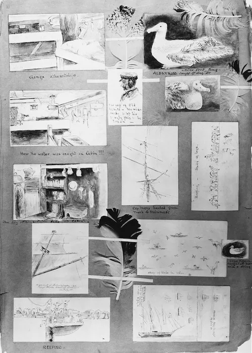 Pearse, John 1808-1882 :[Details of shipboard life aboard the Duke of Portland. Albatross feathers. 1851]