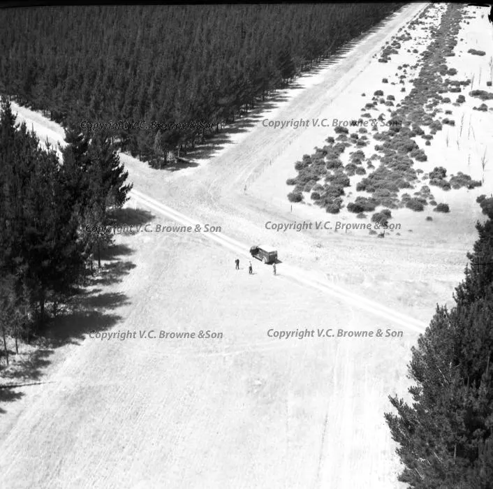 Eyrewell Forest (MSC17/57)