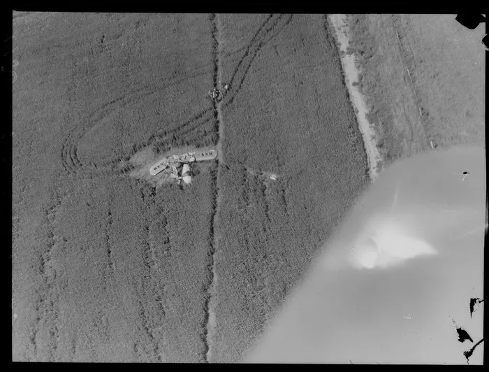 Wellington Aero Club Auster Aiglet ZK-AXM, crashed at Pirinoa