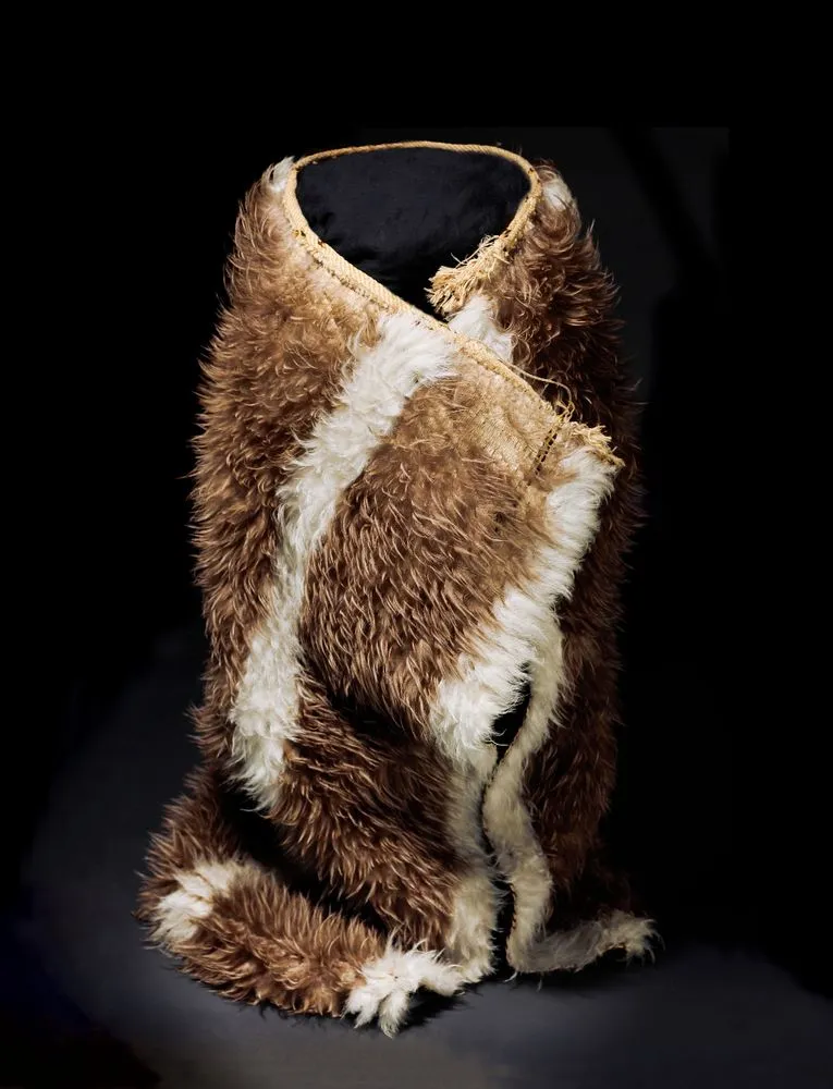 Kahu kiwi (kiwi feather cloak)
