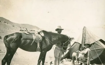 Image: Horses in the First World War