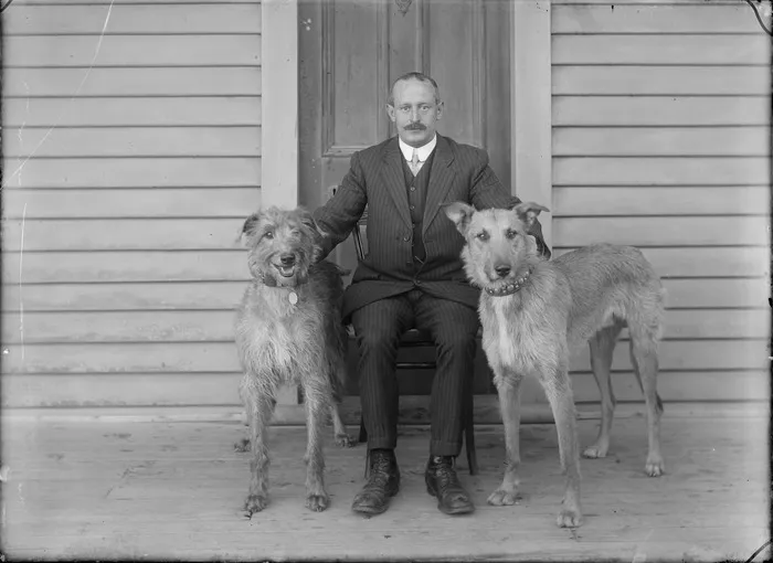 Outdoors portrait of unidentified man with large moustache in striped suit sitting on veranda of wooden house with two large dogs, probably Christchurch region