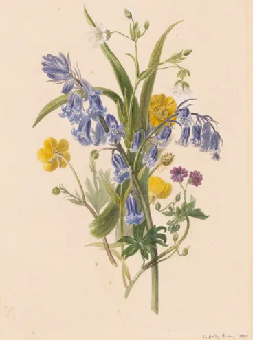 Image: Bunch of wild flowers